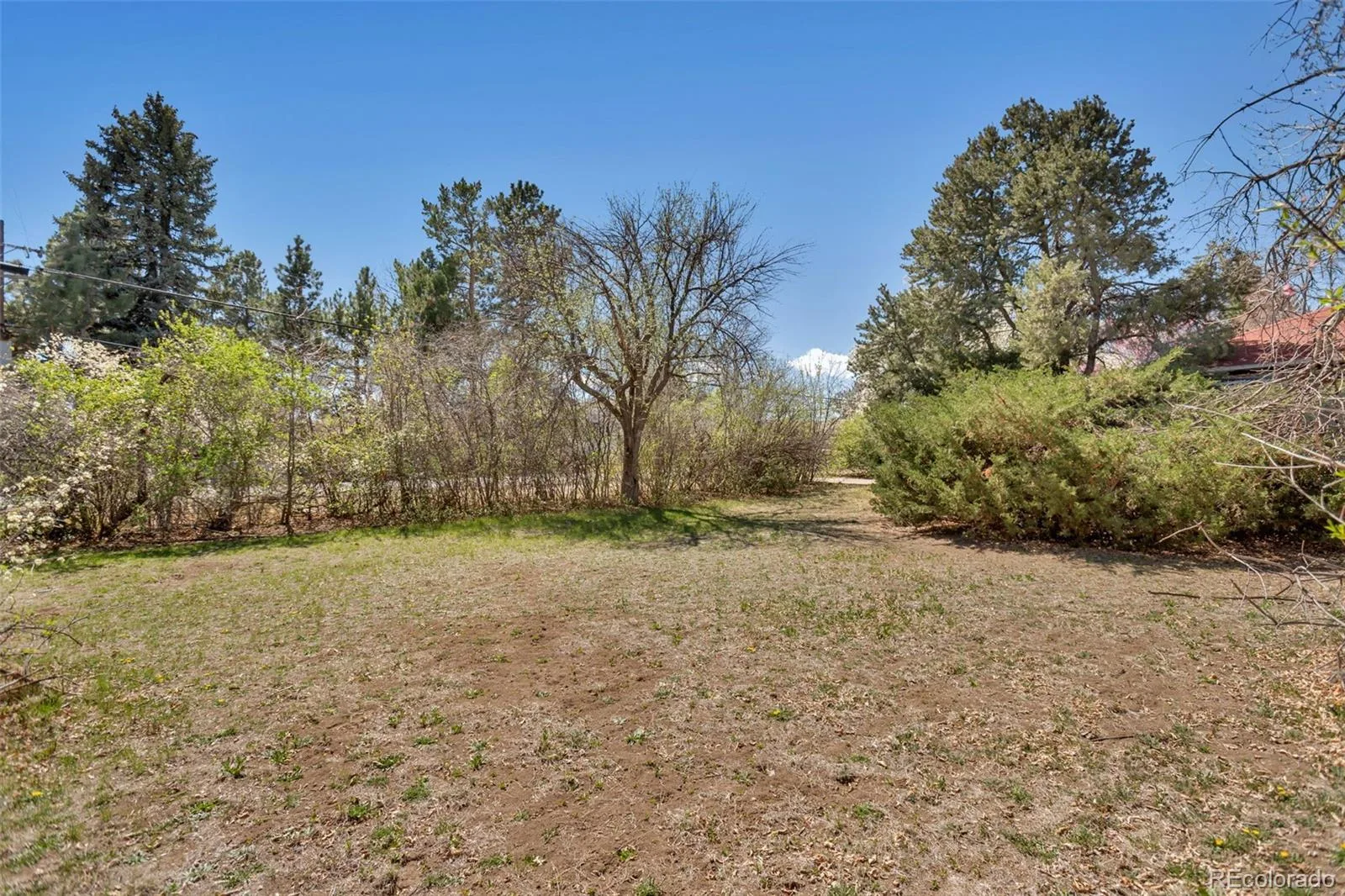 6805 E Jewell Avenue Denver CO 80224 | MLS #REC5613141 08142026142136 1600 12