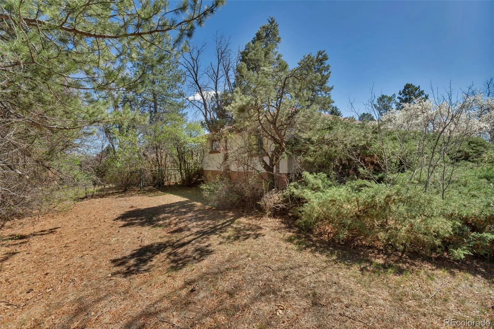 6805 E Jewell Avenue Denver CO 80224 | MLS #REC5613141 08142026142136 1600 16
