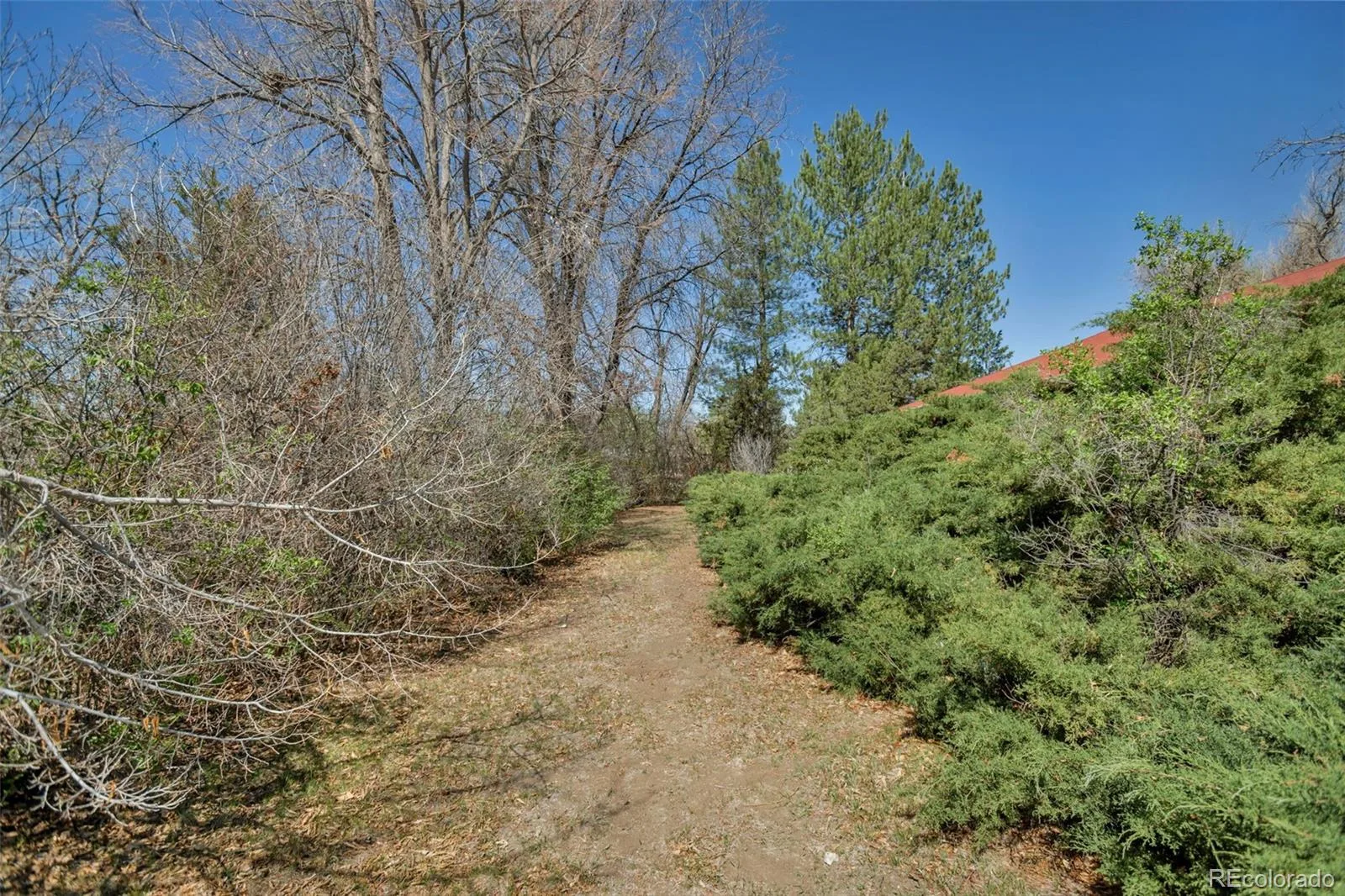 6805 E Jewell Avenue Denver CO 80224 | MLS #REC5613141 08142026142136 1600 17