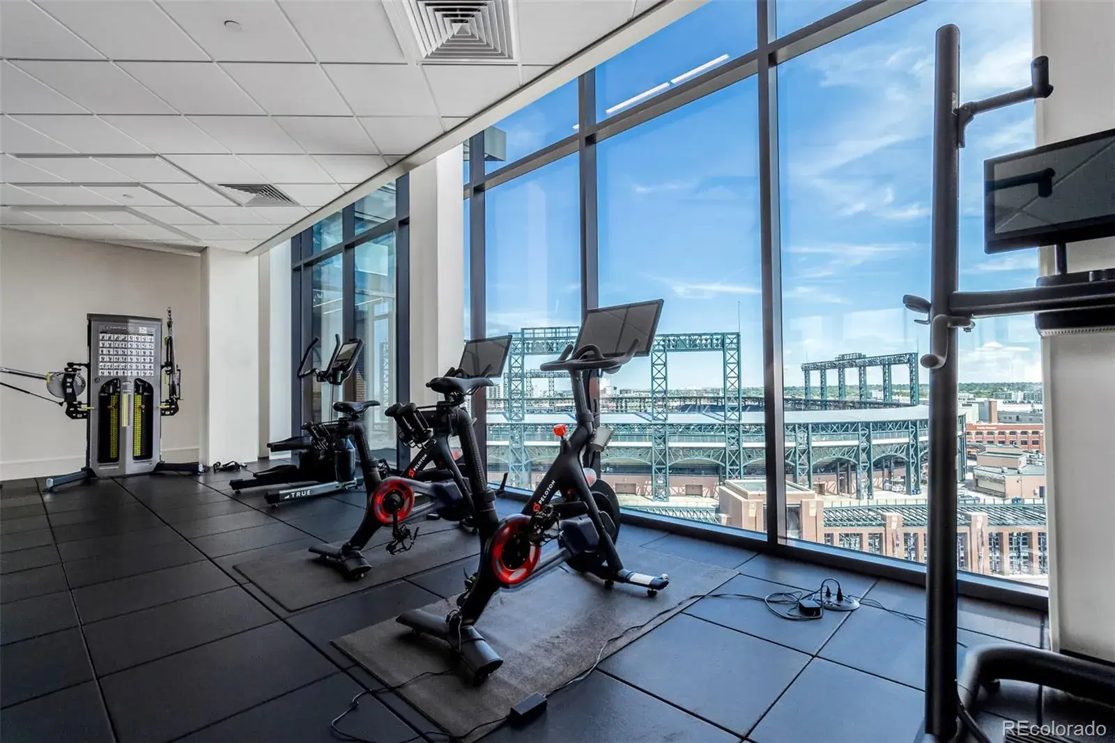 02132026020416 1600 38