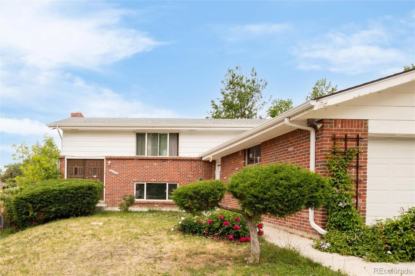 6453 Zephyr Street Arvada CO 80004 MLS #REC5618456 05252026221948 1600 1