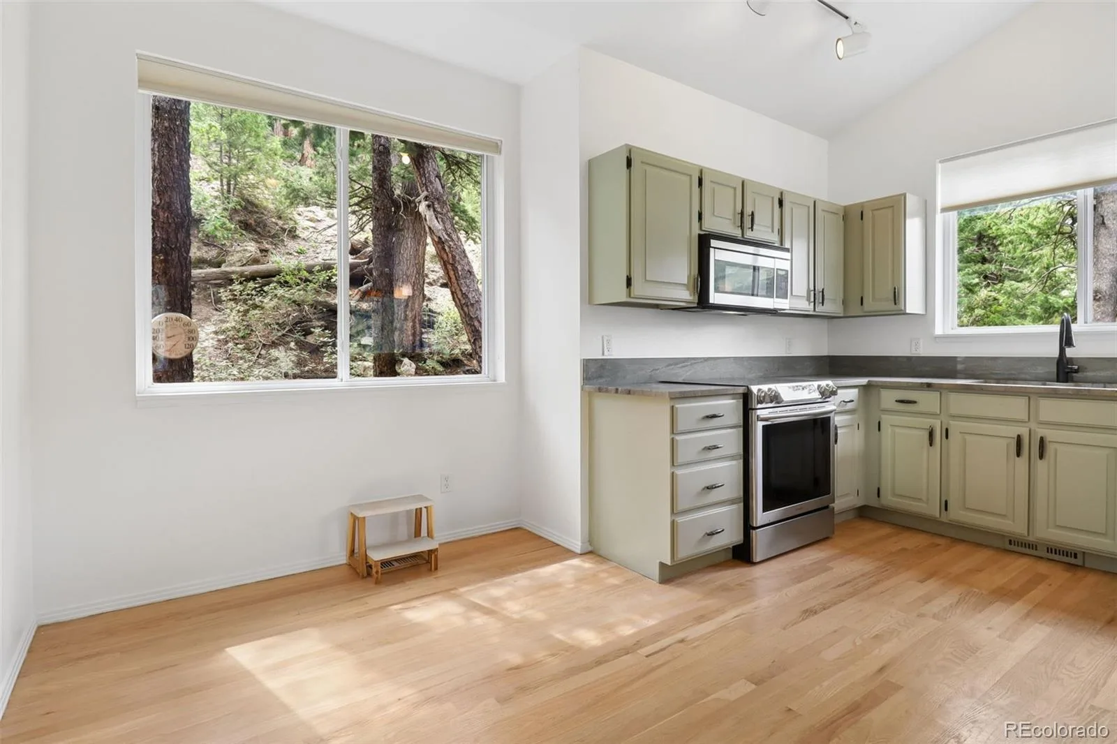 130 Jackpine Lane Evergreen CO 80439 | MLS #REC5624531 08162026051123 1600 14
