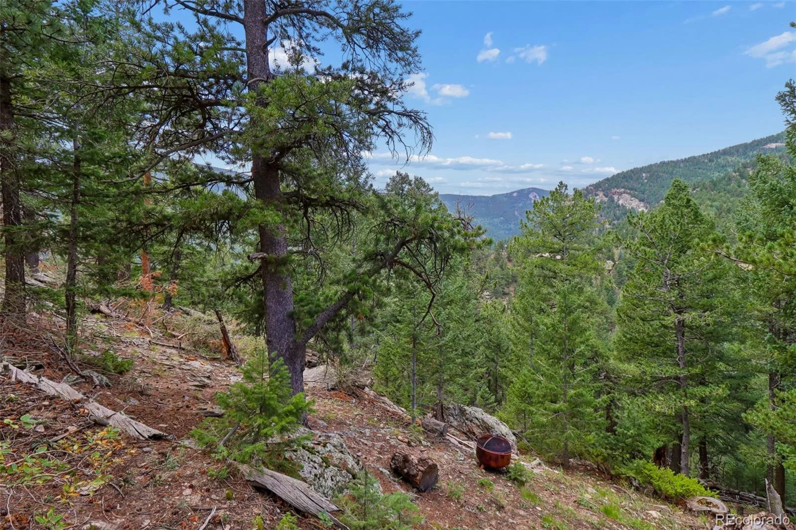 130 Jackpine Lane Evergreen CO 80439 | MLS #REC5624531 08162026051123 1600 45