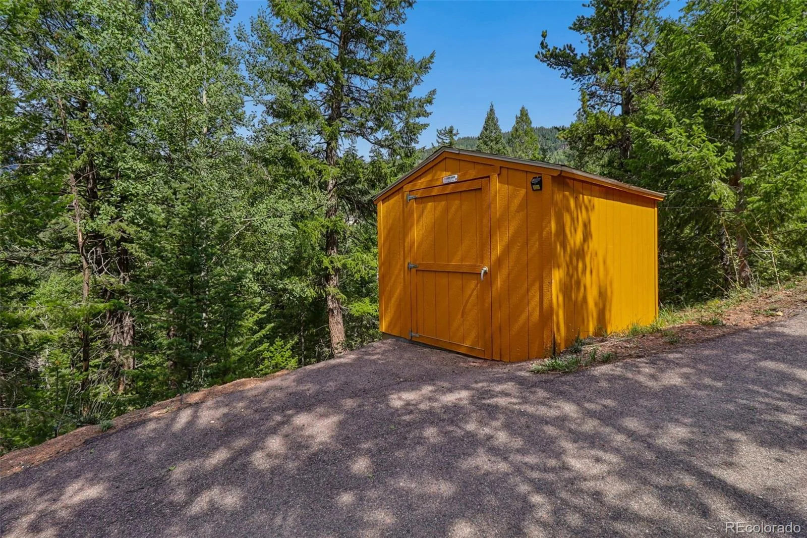 130 Jackpine Lane Evergreen CO 80439 | MLS #REC5624531 08162026051123 1600 49