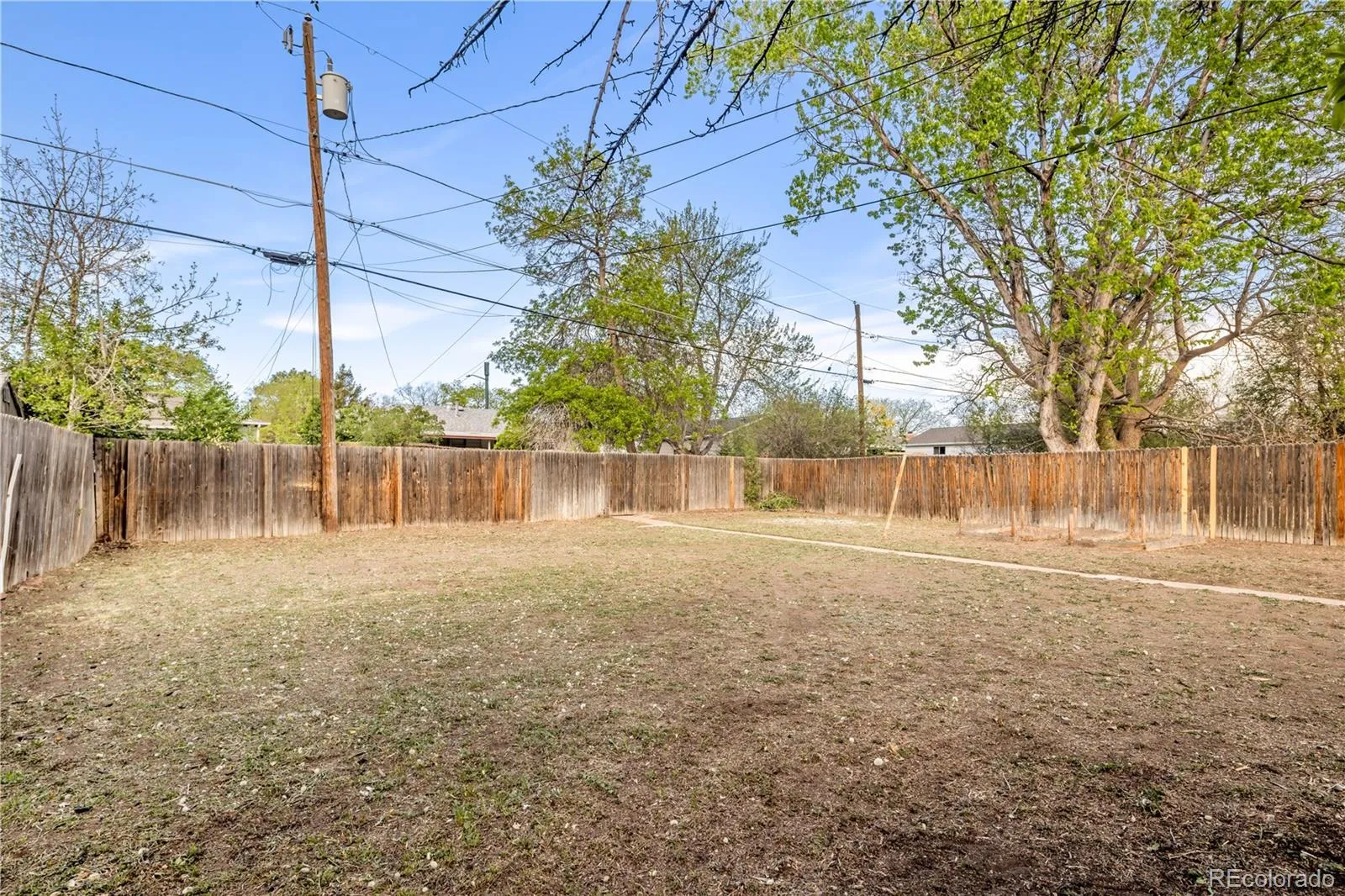 1351 S Patton Court Denver CO 80219 MLS #REC5628482 05182026194902 1600 30