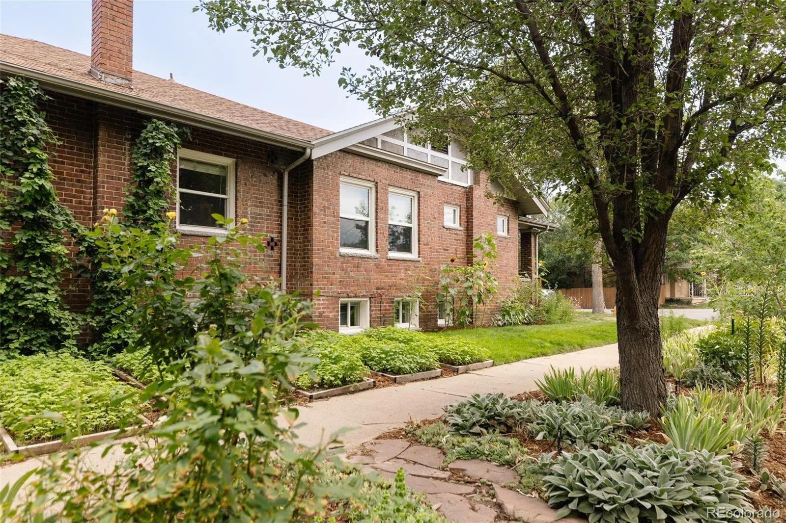 2559 38th Avenue Denver CO 80211 | MLS #REC5629986 08162026051101 1600 3