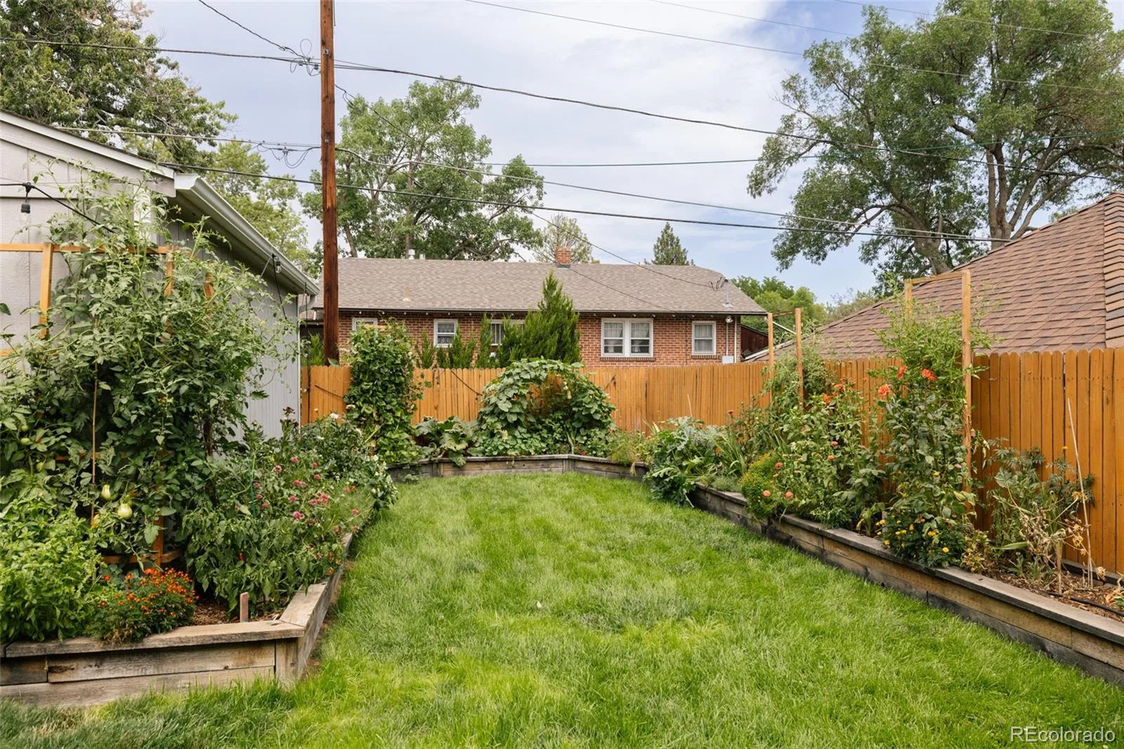 2559 38th Avenue Denver CO 80211 | MLS #REC5629986 08162026051101 1600 34