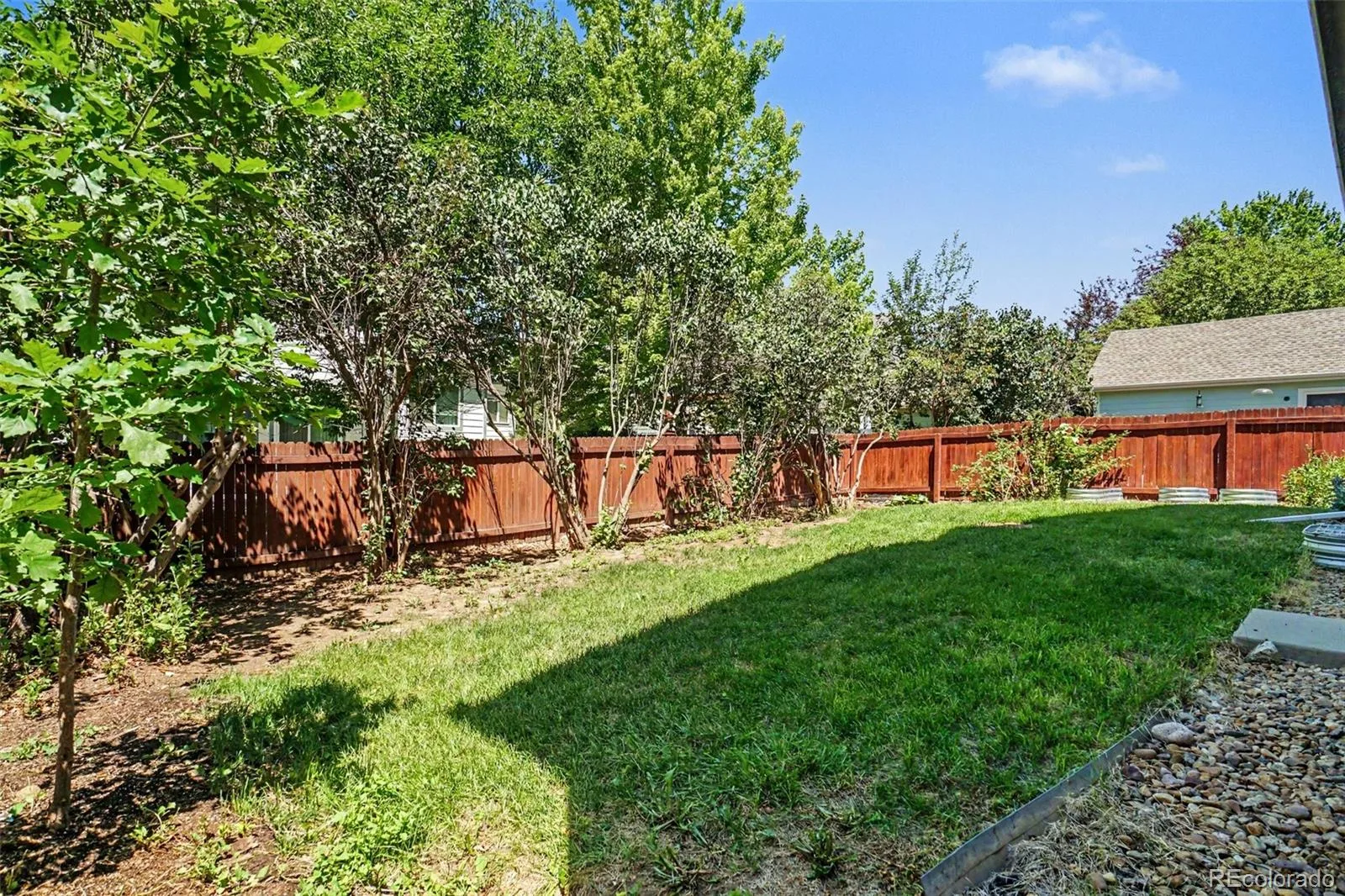 305 Maggie Street Longmont CO 80501 | MLS #REC5630292 07012026183550 1600 45