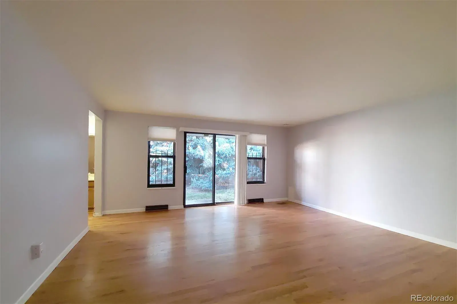 11232025225342 1600 11