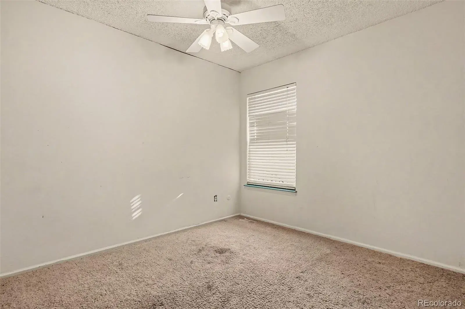 01142026193910 1600 6
