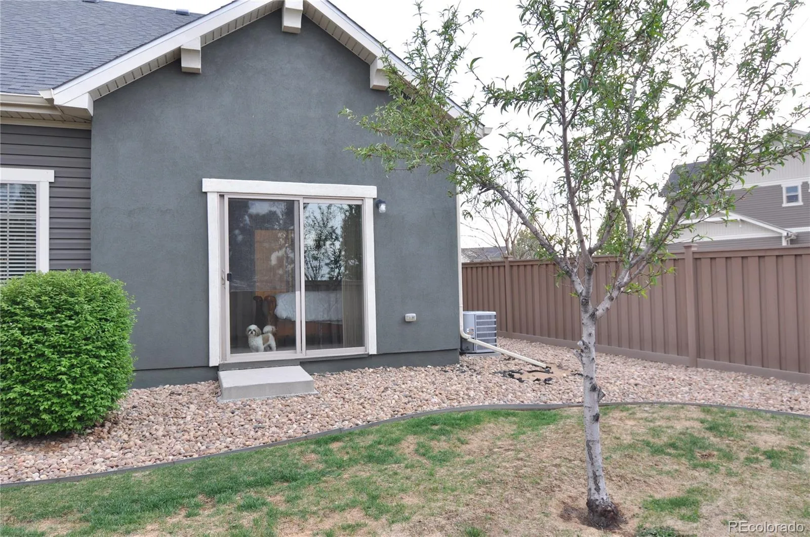 4768 Walden Way Denver CO 80249 MLS #REC5635887 04122026053156 1600 33