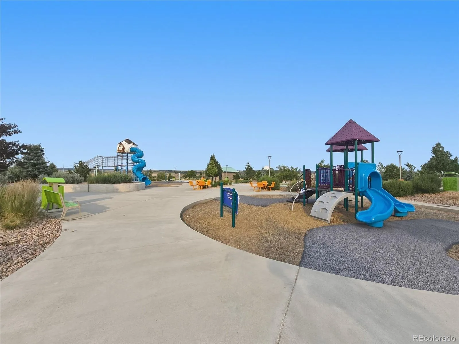 6142 Leilani Lane Castle Rock CO 80108 MLS #REC5648254 06302026133435 1600 31