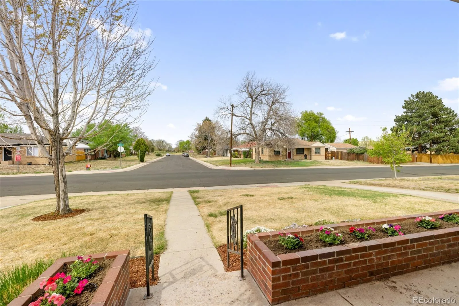 04172026205900 1600 3