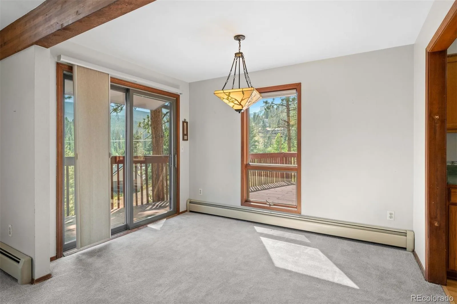 33057 Little Cub Road Evergreen CO 80439 | MLS #REC5661528 08122026205226 1600 11