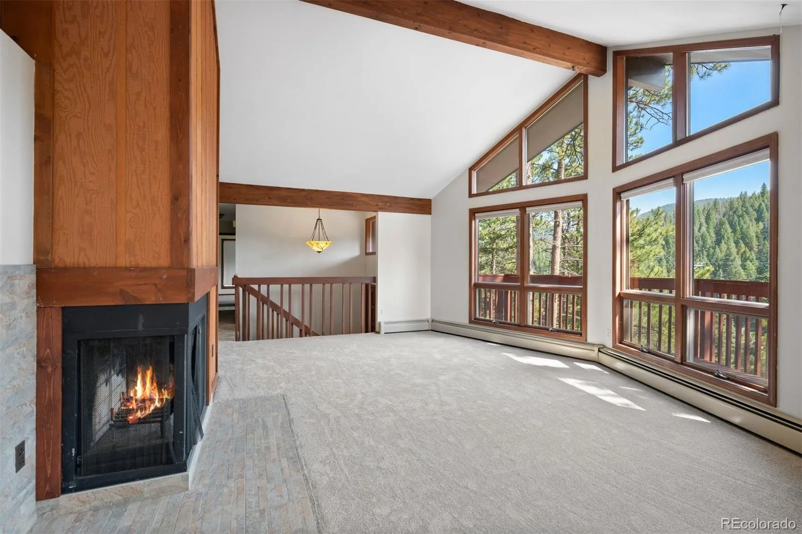 33057 Little Cub Road Evergreen CO 80439 | MLS #REC5661528 08122026205226 1600 5