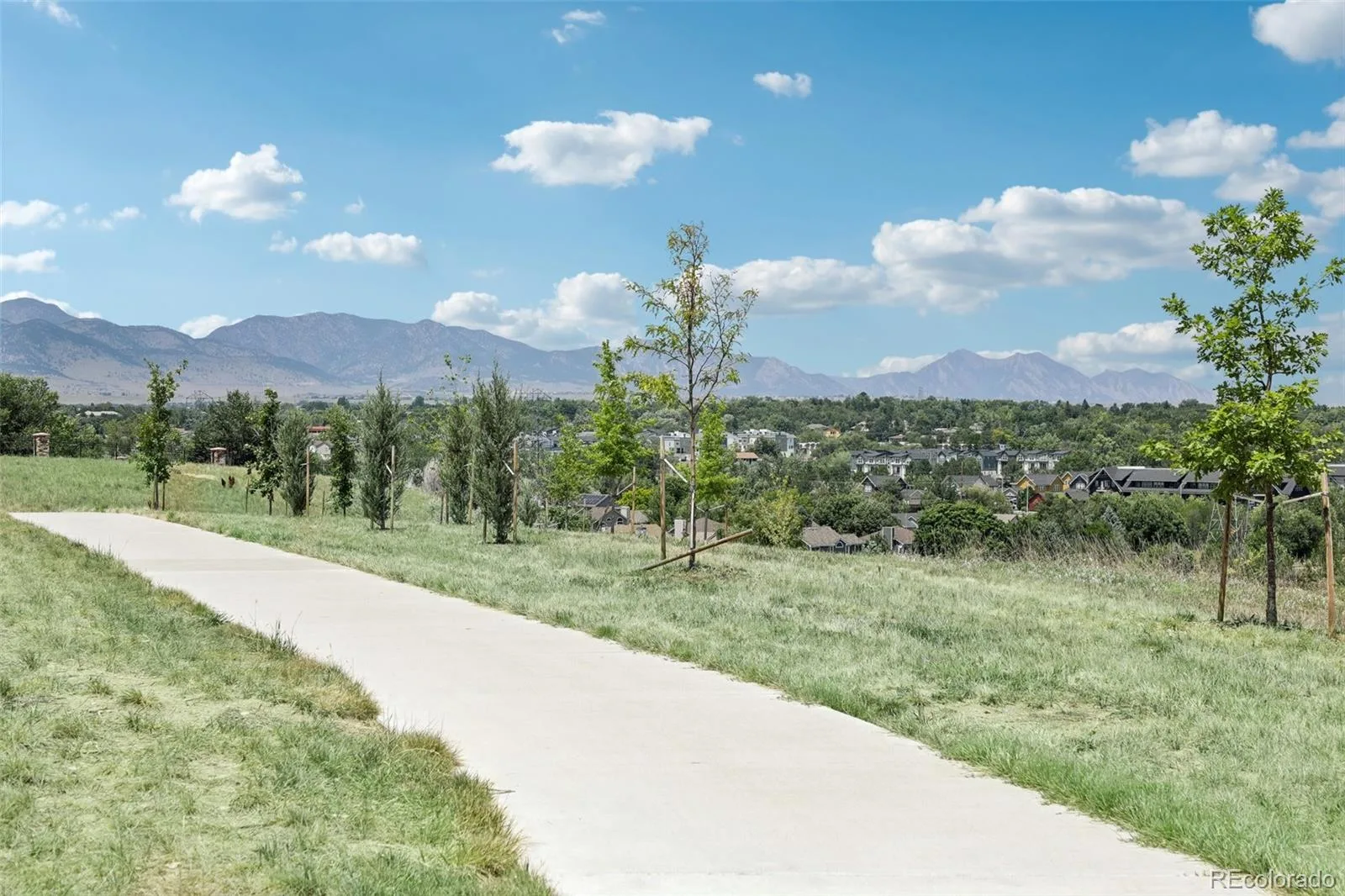 5195 Queen Court Arvada CO 80002 MLS #REC5679645 07032026152338 1600 38