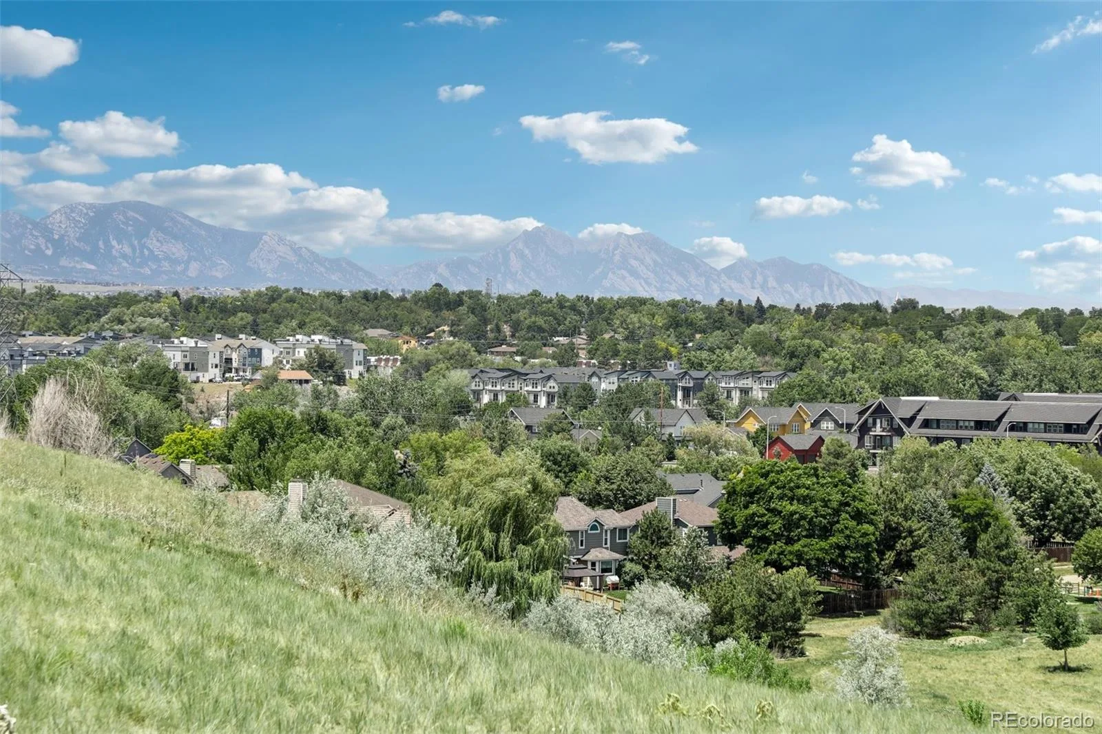 5195 Queen Court Arvada CO 80002 MLS #REC5679645 07032026152338 1600 39