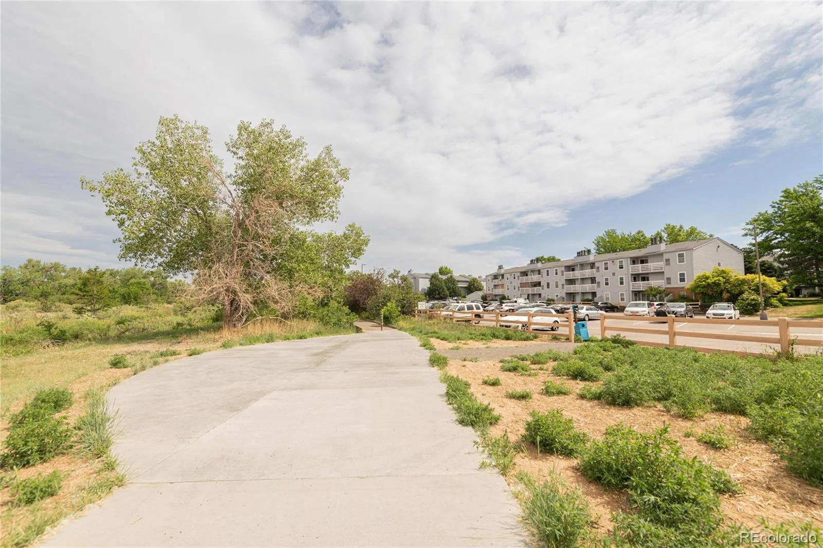 3141 S Tamarac Drive #108F Denver CO 80231 MLS #REC5686021 06292026154638 1600 23