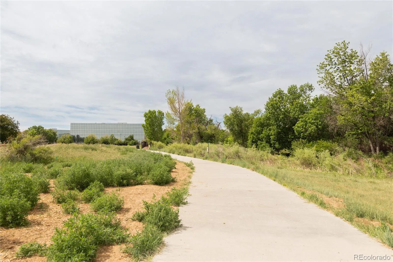 3141 S Tamarac Drive #108F Denver CO 80231 MLS #REC5686021 06292026154638 1600 24