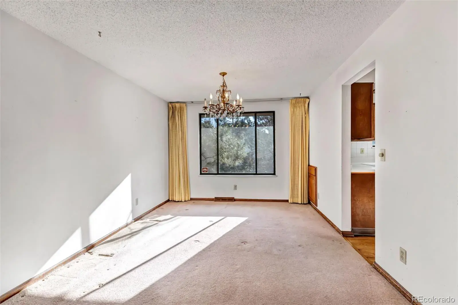 03032026045337 1600 23