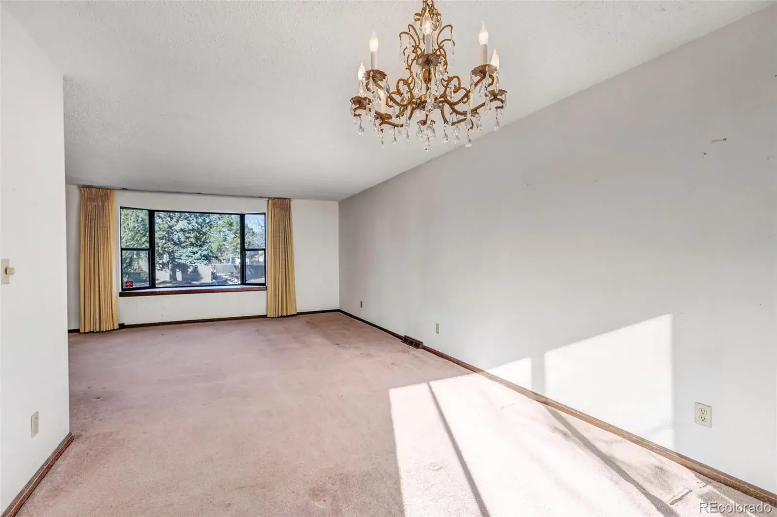 03032026045337 1600 24