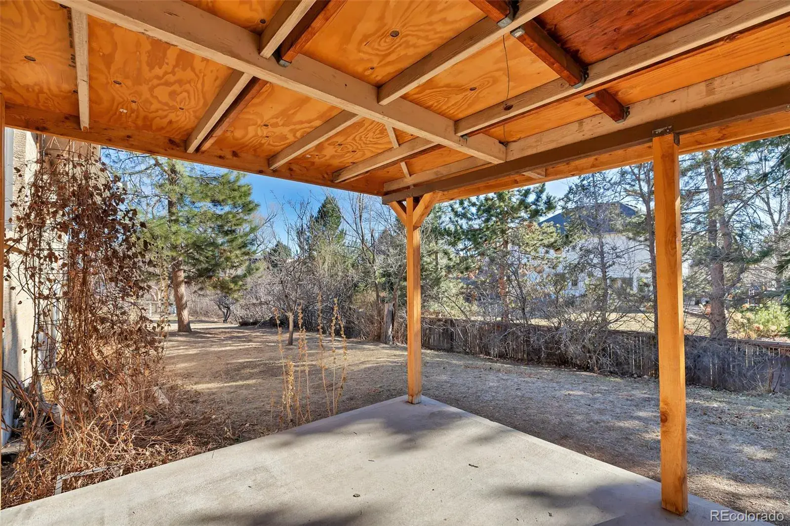 03032026045337 1600 45