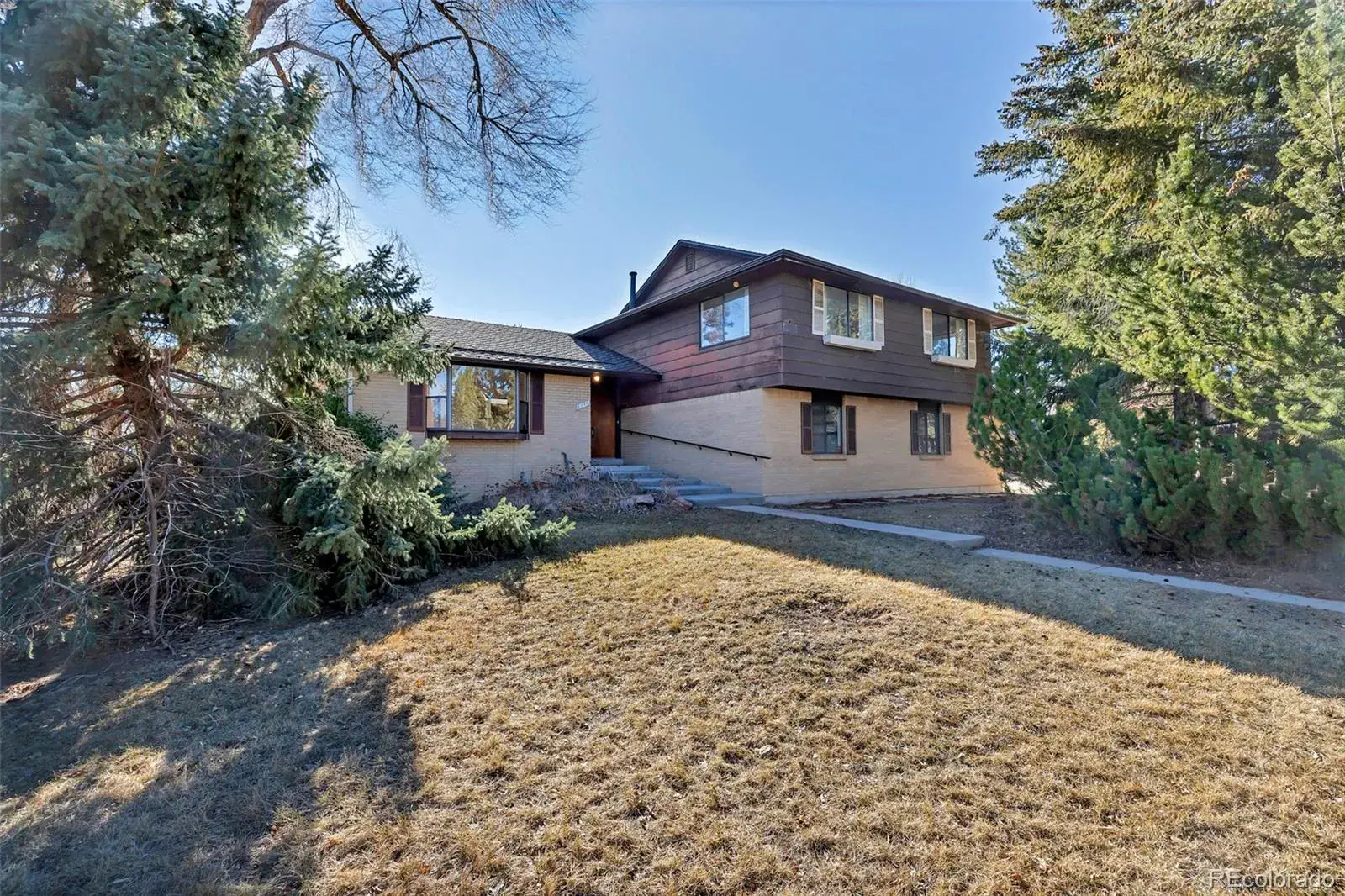 03032026045337 1600 47