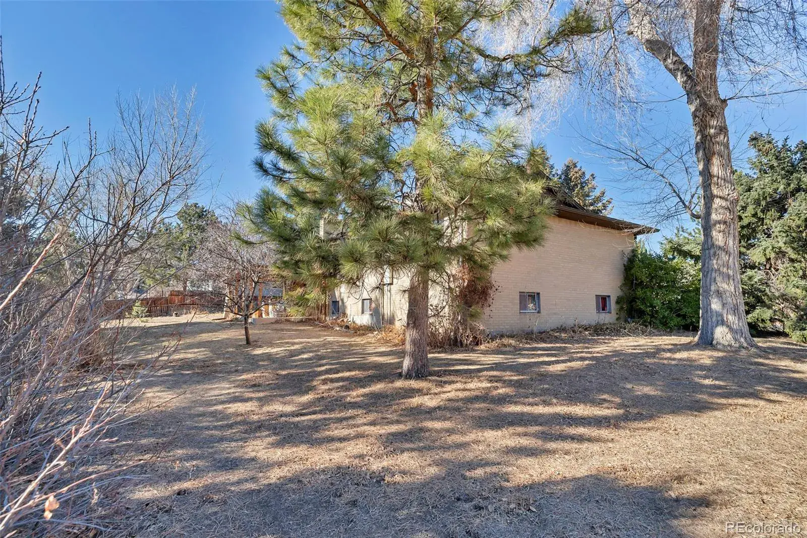 03032026045337 1600 8