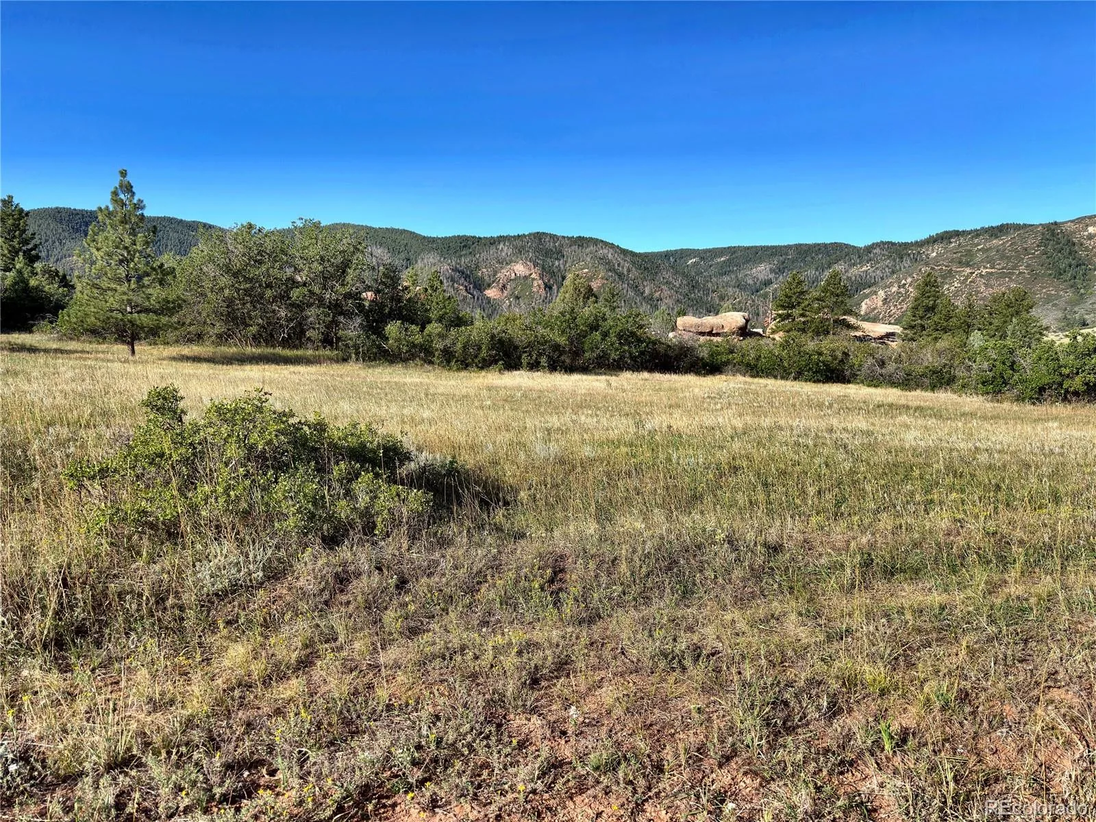 6235 Perry Park Boulevard Larkspur CO 80118 | MLS #REC5700807 10092026220003 1600 1