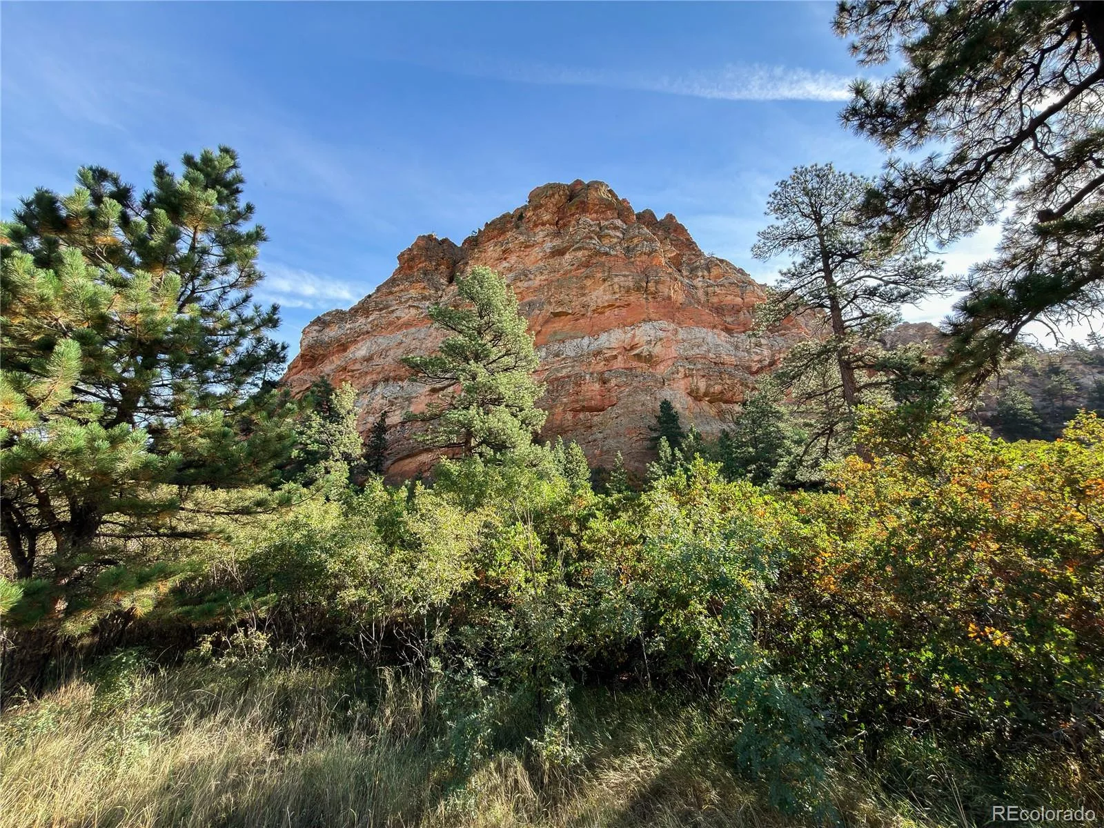 6235 Perry Park Boulevard Larkspur CO 80118 | MLS #REC5700807 10092026220003 1600 3