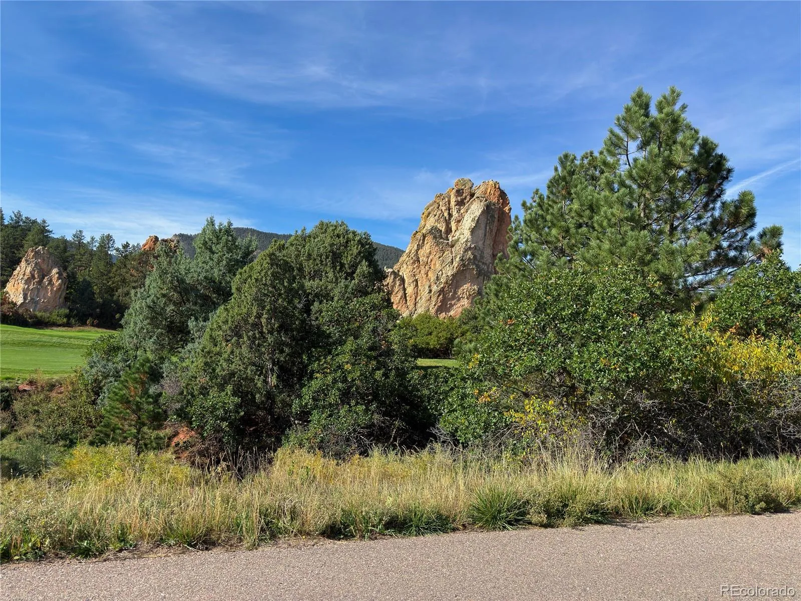 6235 Perry Park Boulevard Larkspur CO 80118 | MLS #REC5700807 10092026220003 1600 7