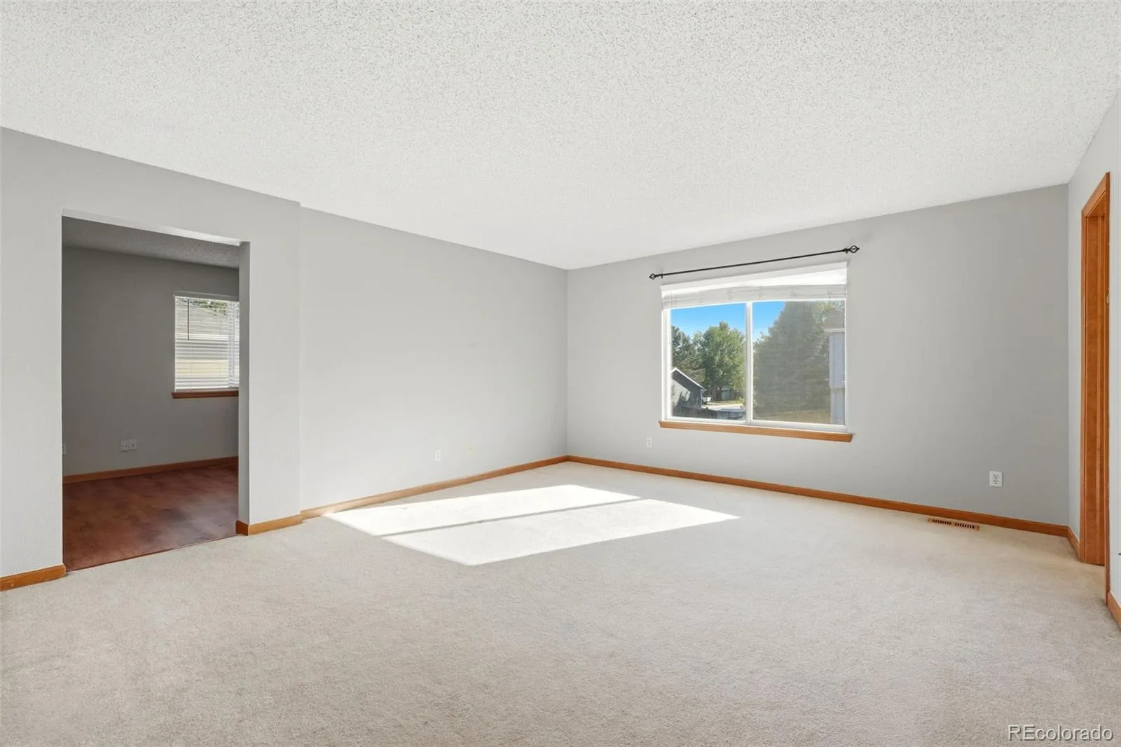 4607 N Foxtail Drive Castle Rock CO 80109 | MLS #REC5704061 06192026234653 1600 20