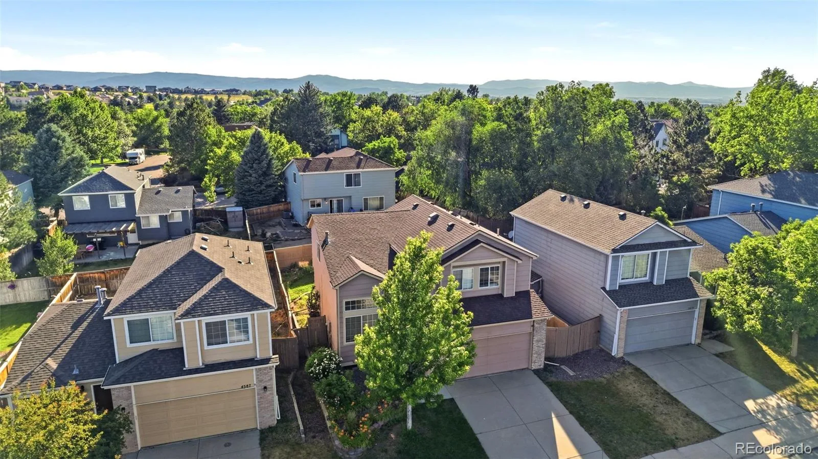 4607 N Foxtail Drive Castle Rock CO 80109 | MLS #REC5704061 06192026234653 1600 43