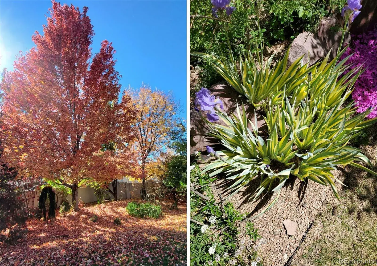 11172025224100 1600 29