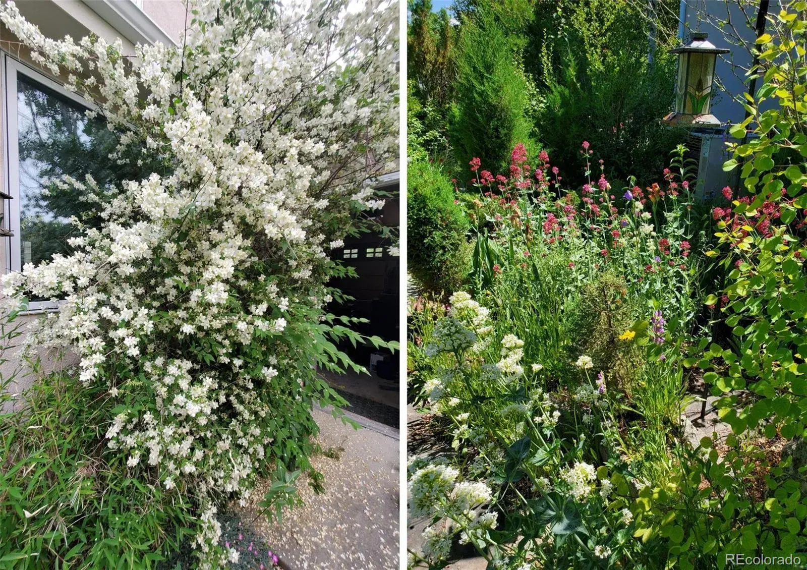 11172025224100 1600 30