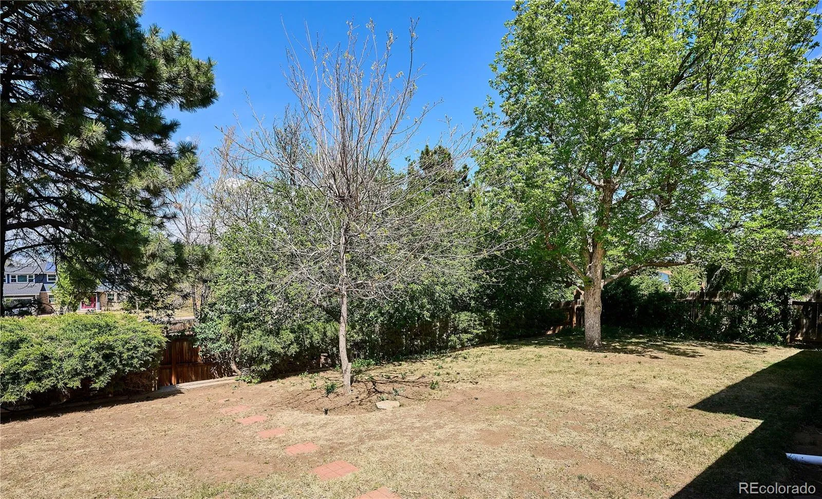 6294 S Oneida Way Centennial CO 80111 MLS #REC5719180 04242026143915 1600 34