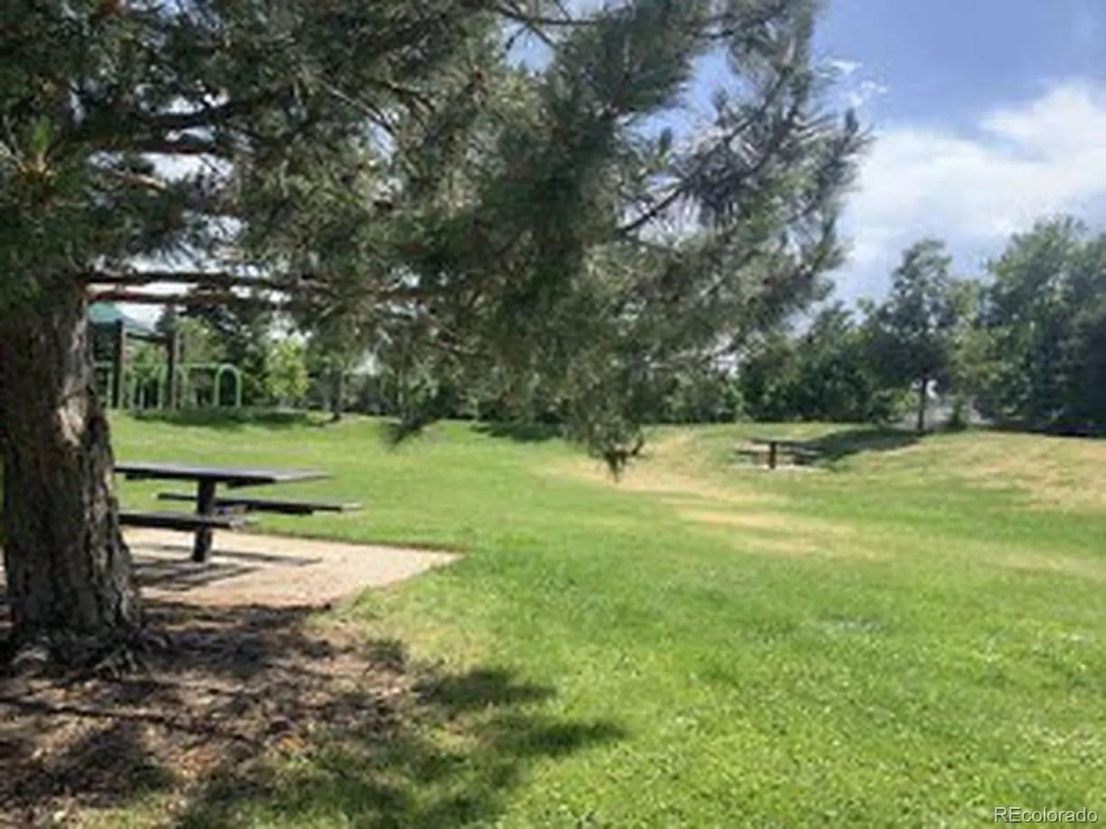 03242026012836 1600 24