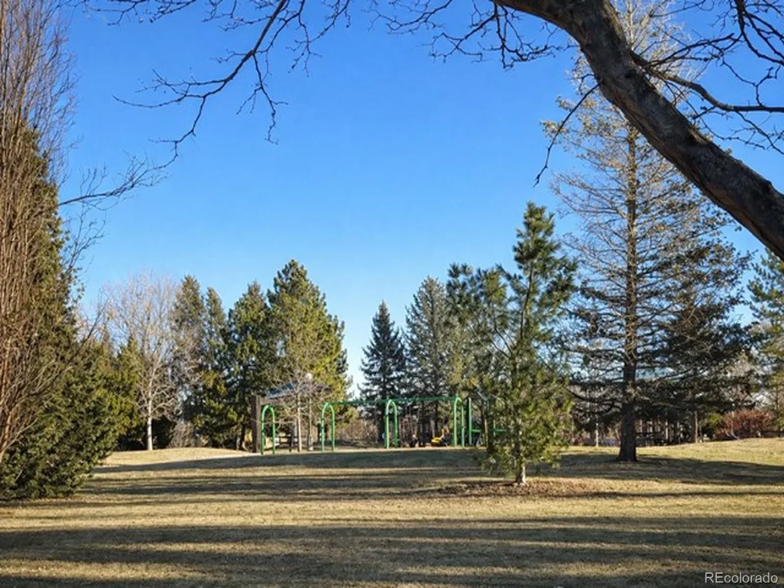 03242026012836 1600 26