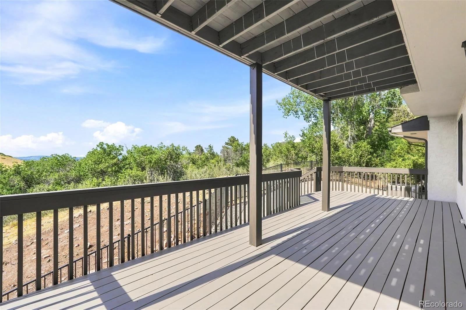 191 October Place Castle Rock CO 80104 | MLS #REC5722793 07242026160237 1600 43