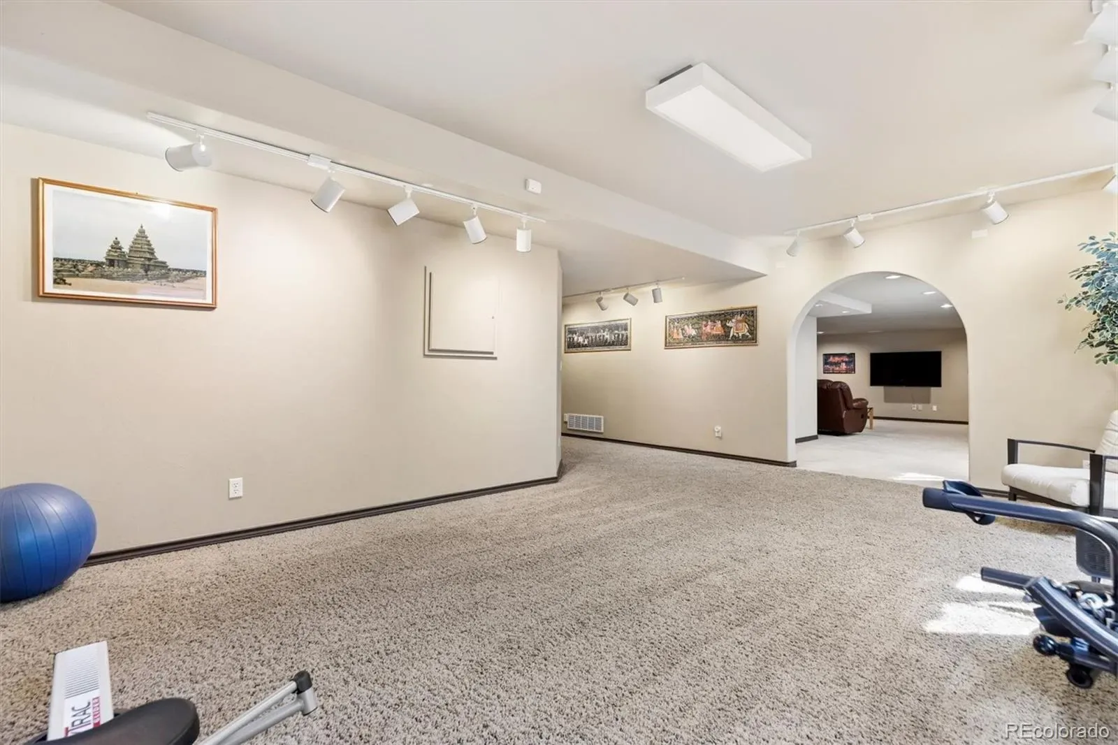 5165 Rialto Drive Parker CO 80134 MLS #REC5724250 03122026015017 1600 40