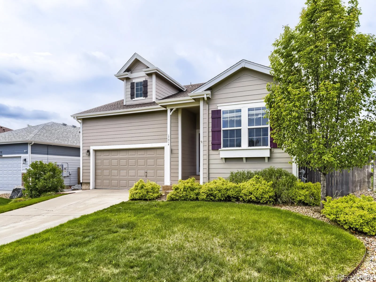 17014 Blue Indigo Lane Parker CO 80134 MLS #REC5724664 08012026195030 1600 1