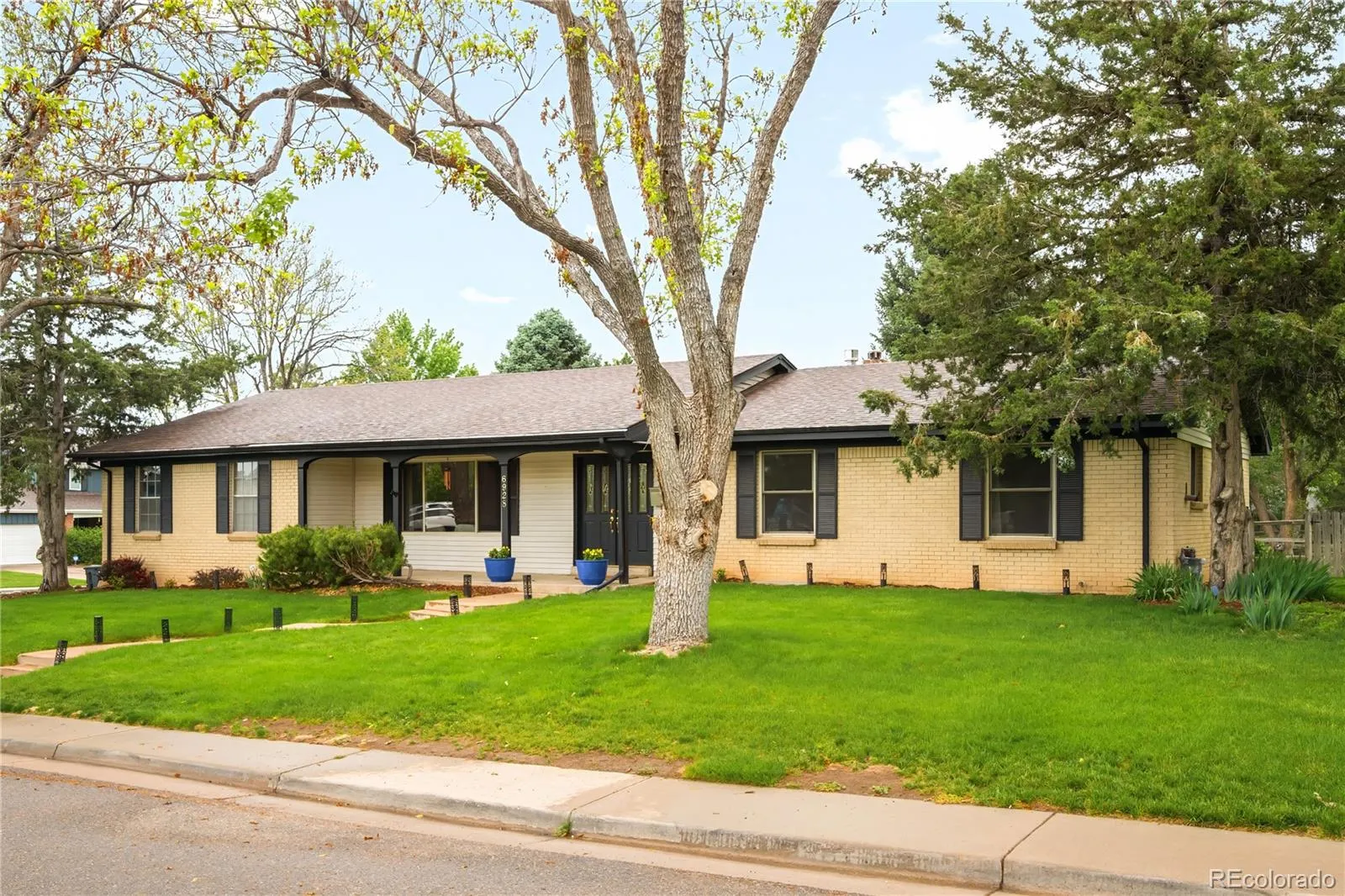 6928 S Columbine Way Centennial CO 80122 MLS #REC5728829 05222026221254 1600 1