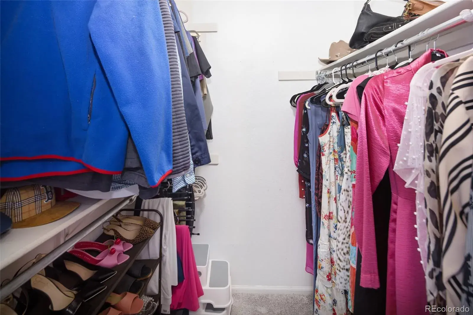 02252026195516 1600 20