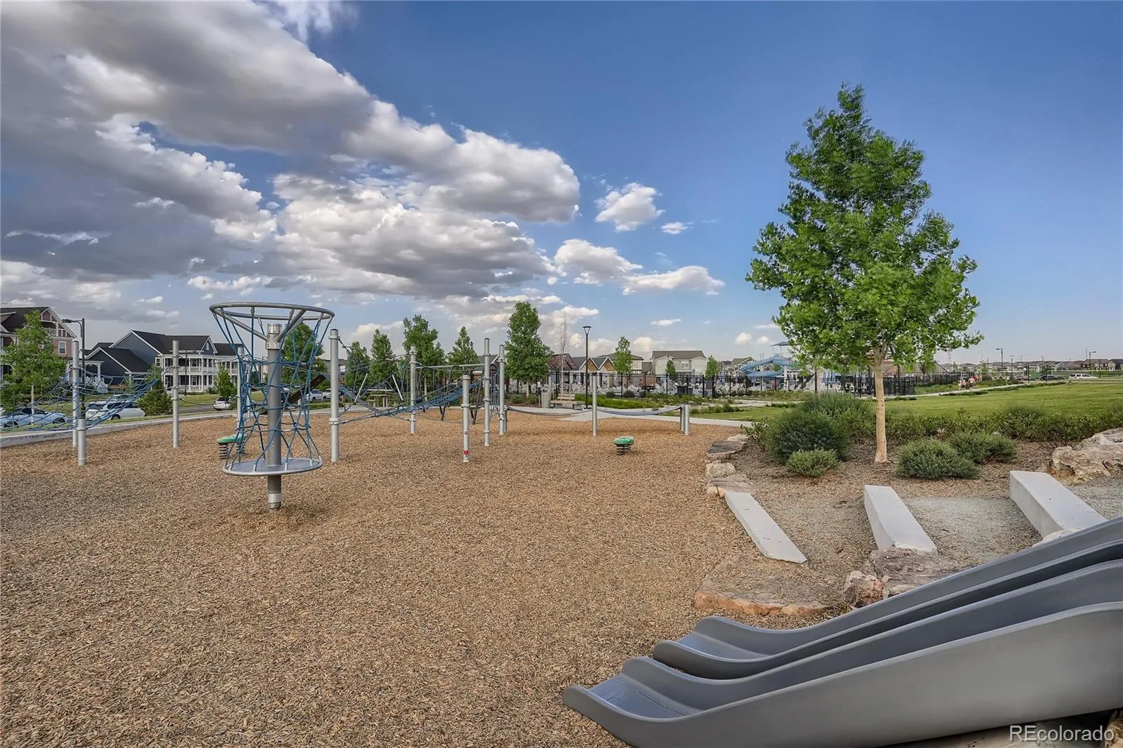 9731 E 34th Place Denver CO 80238 | MLS #REC5747109 08282026222909 1600 37