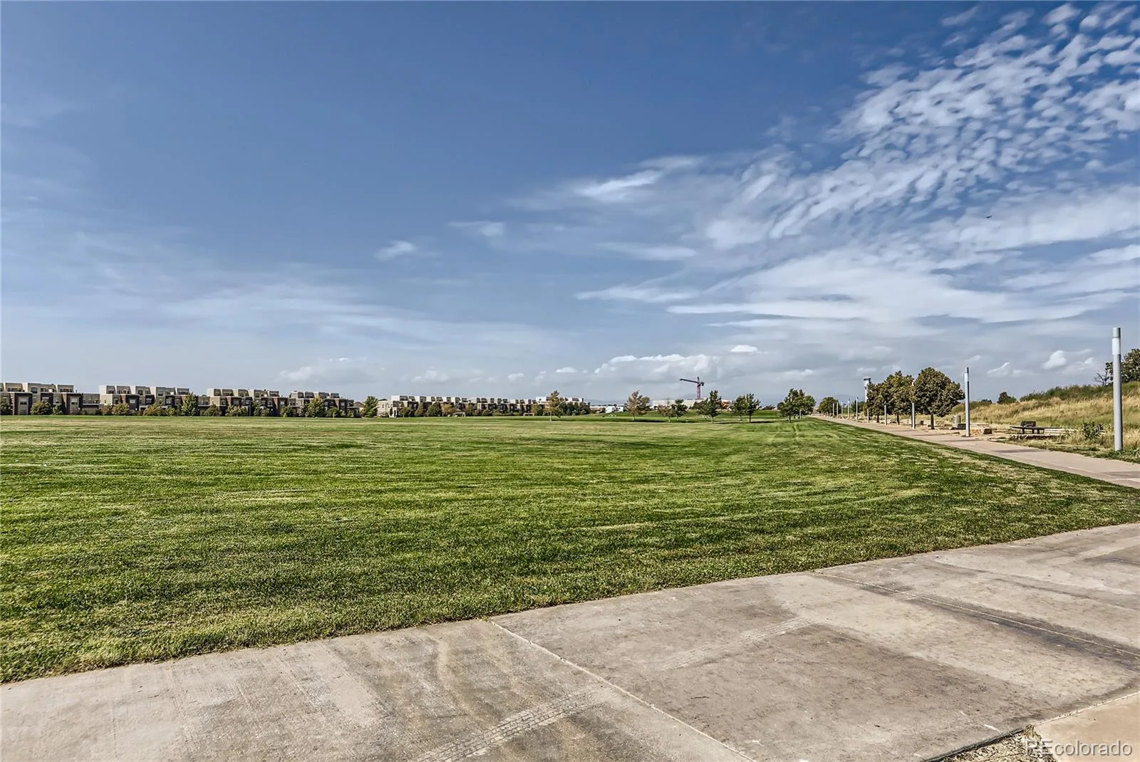 9731 E 34th Place Denver CO 80238 | MLS #REC5747109 08282026222909 1600 38