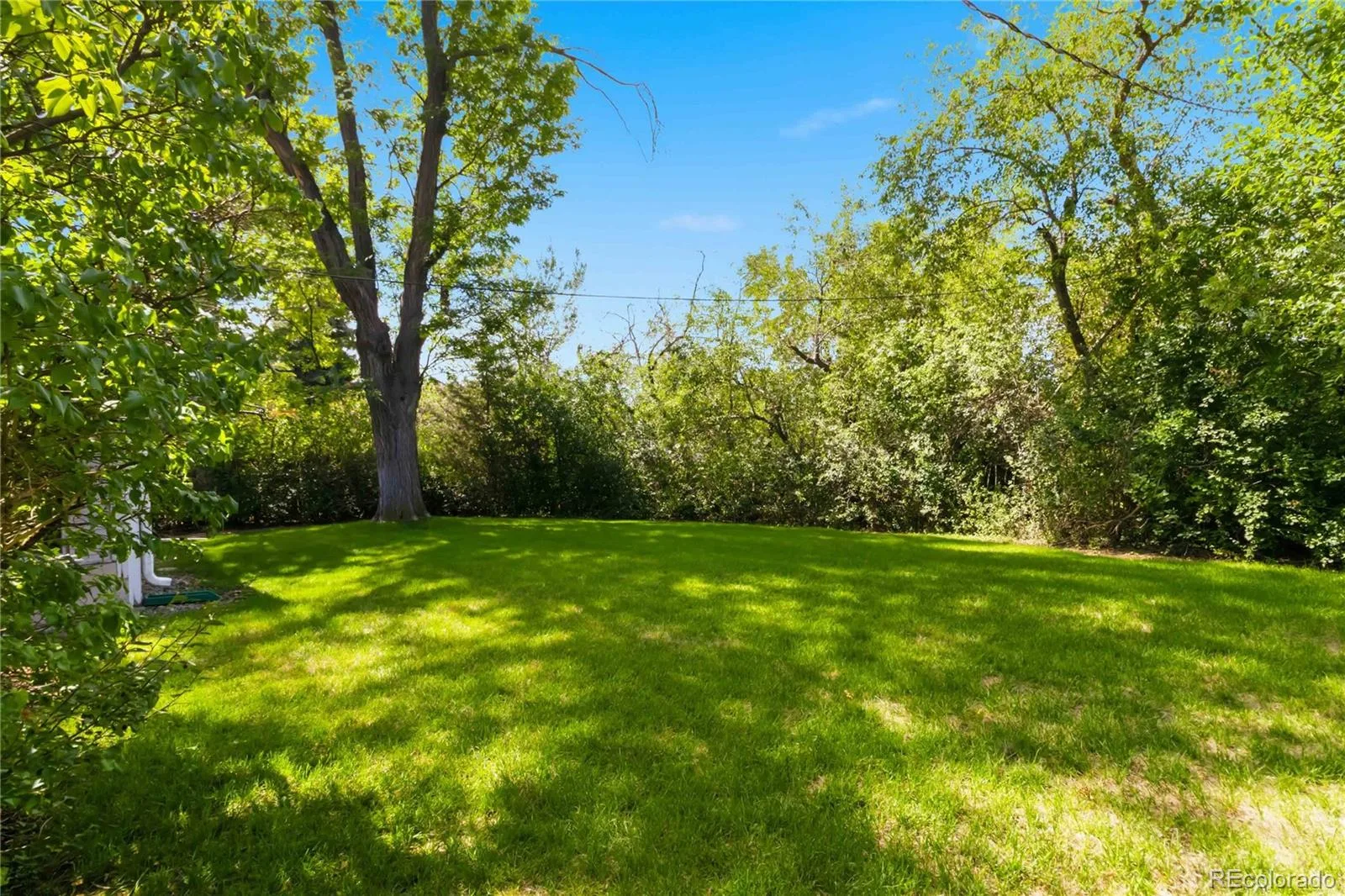2615 S Jasmine Street Denver CO 80222 | MLS #REC5747724 08282026151541 1600 28