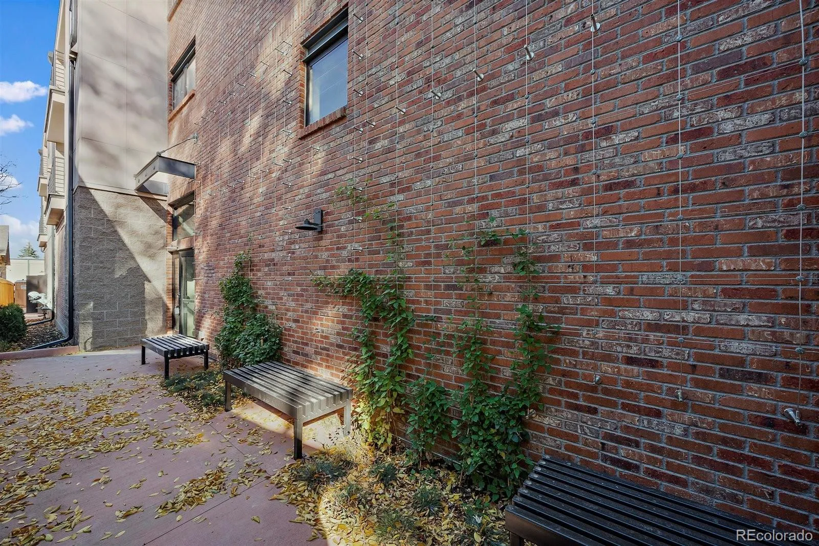 7357 W Grandview Avenue #202 Arvada CO 80002 | MLS #REC5749546 05182026230643 1600 23