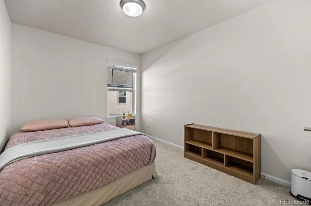 19037 E 64th Avenue Denver CO 80249 | MLS #REC5759129 07162026201934 1024 8