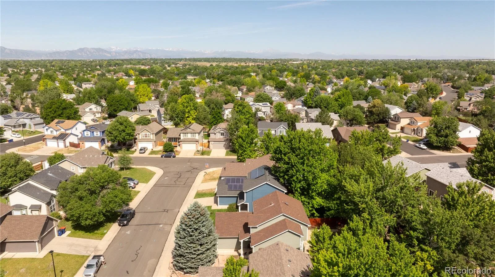 2765 Canossa Drive Broomfield CO 80020 MLS #REC5761697 07152026080747 1600 41