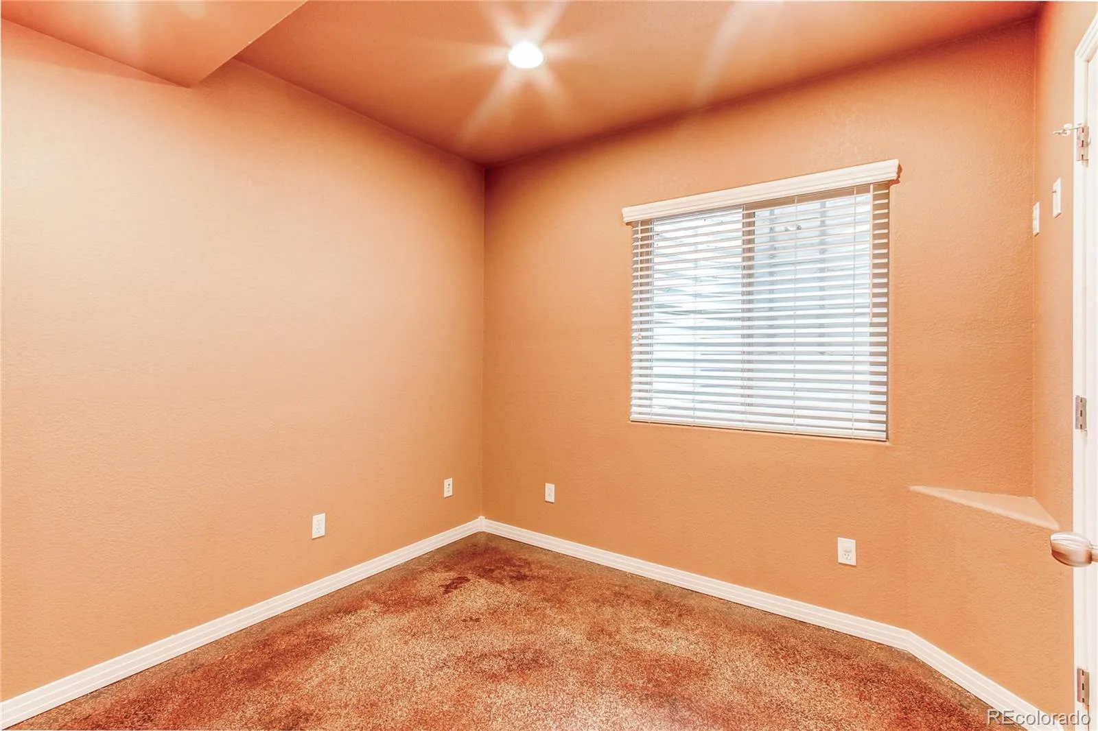 3561 Yosemite Street Denver CO 80238 MLS #REC5778495 05292026183750 1600 43